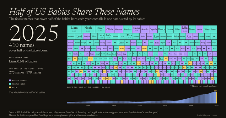 Half of US Babies Share These Names, 1880–2025