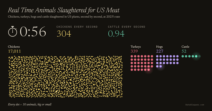 Real Time Animals Slaughtered for US Meat